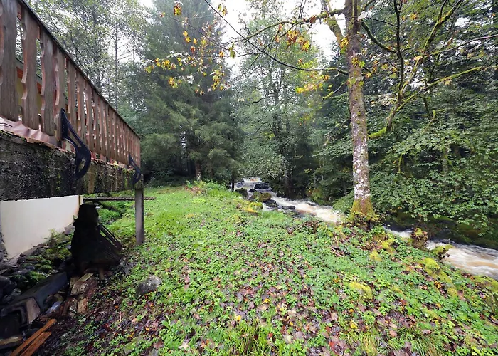 L'eau Vive - Oase A 5 Minutes De Gérardmer